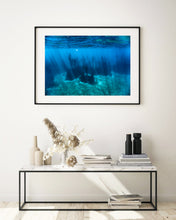 Load image into Gallery viewer, Kelp Forest
