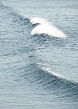 Load image into Gallery viewer, Breezy