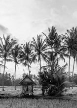 Load image into Gallery viewer, Surf Shack