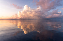 Load image into Gallery viewer, Glassy
