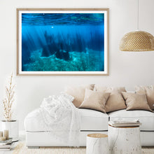 Load image into Gallery viewer, Kelp Forest
