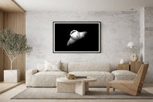 Load image into Gallery viewer, Manta Ray
