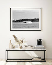 Load image into Gallery viewer, Search
