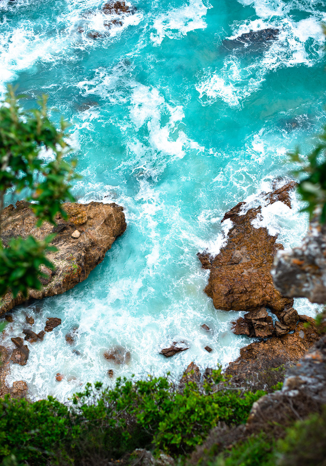 Tropical