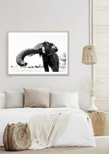 Load image into Gallery viewer, Victim

