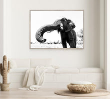 Load image into Gallery viewer, Victim
